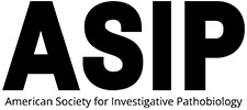 ASIP logo