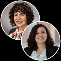 February 20, 2025 webinar