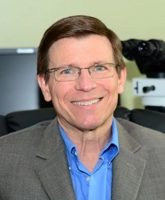 Shawn O'Neil