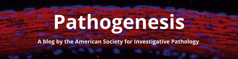 Pathogenesis Blog
