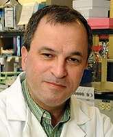 Gregory Tsongalis