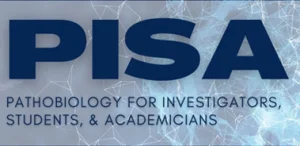 PISA 2020